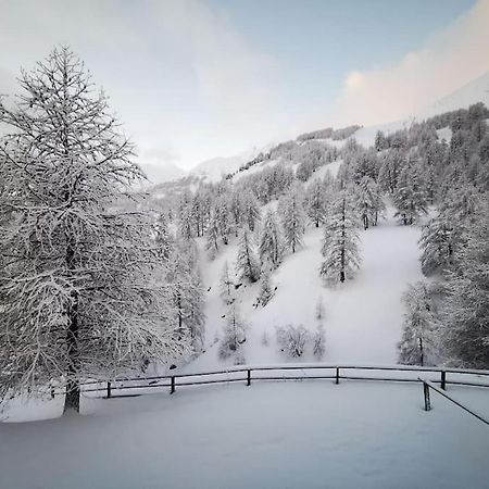 Cosy Apart, Ski Snow Surf, Foux D'Allos Avec Vue Exterior photo