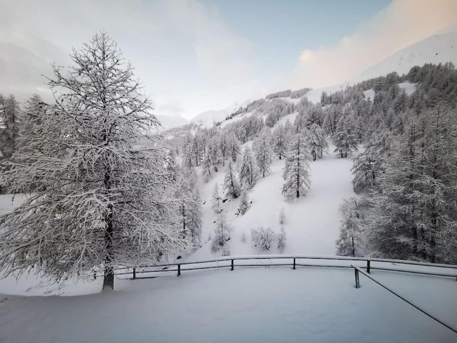 Cosy Apart, Ski Snow Surf, Foux D'Allos Avec Vue Exterior photo